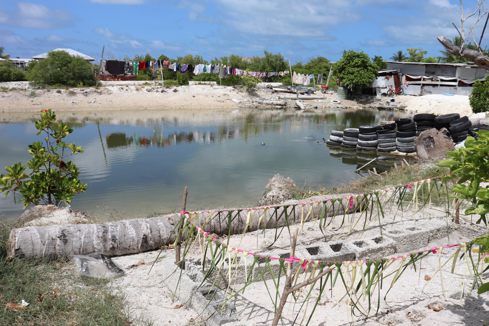 Kiribati: Der steigende Meeresspiegel lässt die Küstenlinie erodieren.