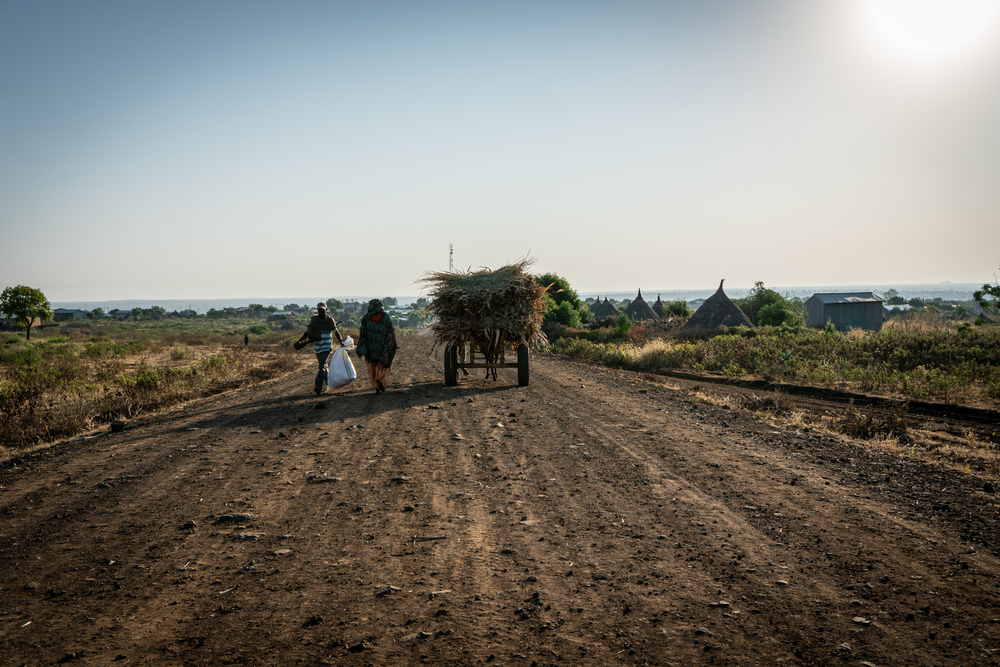 Die Amhara Region im Norden von Äthiopien ist geprägt von Landwirtschaft.