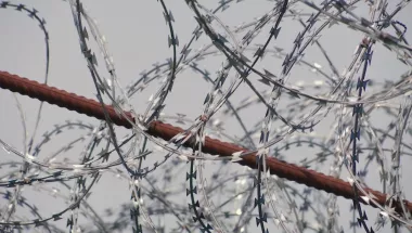 Gewalt gegen Flüchtlinge an der serbisch-ungarischen Grenze