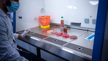 In Amman beobachtet ein Labormitarbeiter Bakterienkulturen im Krankenhaus für rekonstruktive Chirurgie von Ärzte ohne Grenzen.