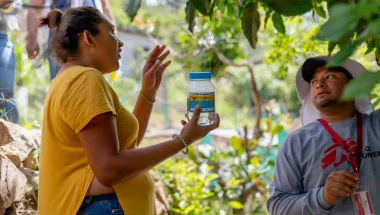 Honduras: Dengue-Fieber vorbeugen 