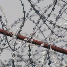 Gewalt gegen Flüchtlinge an der serbisch-ungarischen Grenze