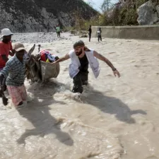 Nach dem Hurrikane Matthew in Haiti dienen Esel als Transportmittel