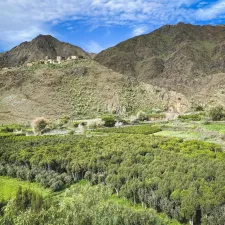 Eine grüne bergige Landschaft im Bergdorf Haydan im Nordjemen