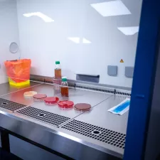 In Amman beobachtet ein Labormitarbeiter Bakterienkulturen im Krankenhaus für rekonstruktive Chirurgie von Ärzte ohne Grenzen.