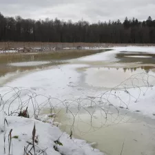 Grenze zwischen Polen Belarus in Natur Stacheldraht