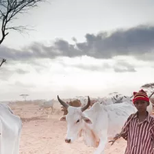 Ärzte ohne Grenzen Dadaab Kenia Somalia