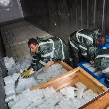 Gelbfieber impfungen Kongo