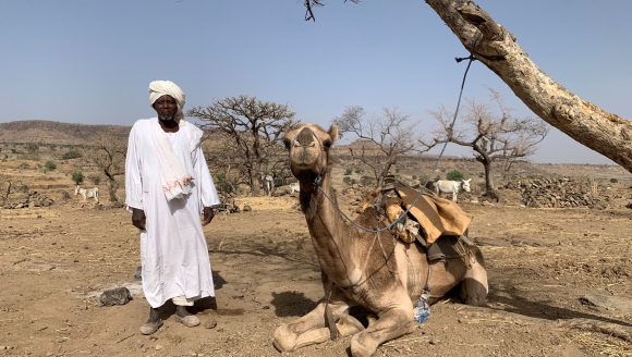 Mohammed Abdallah Juma, Dillis Gemeidevorsteher, mit einem Kamel in Jebel Marra.