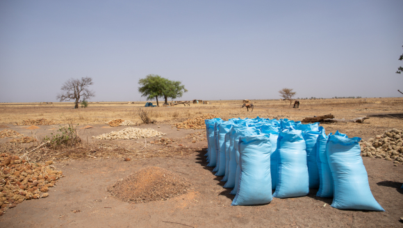 Dürreperioden im Tschad.