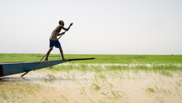 Bootsmann steuert Boot über Fluss Niger