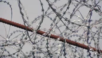 Gewalt gegen Flüchtlinge an der serbisch-ungarischen Grenze