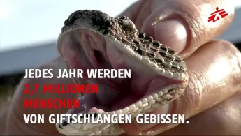 Ärzte ohne Grenzen Schlangenbiss Vernachlässigte Krankheit