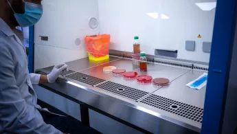 In Amman beobachtet ein Labormitarbeiter Bakterienkulturen im Krankenhaus für rekonstruktive Chirurgie von Ärzte ohne Grenzen.