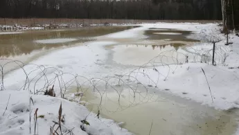 Grenze zwischen Polen Belarus in Natur Stacheldraht
