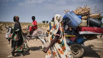 Transport von Habseligkeiten mit Esel und Wagen