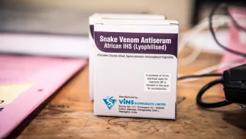 Ein Gegengift bei Schlangenbissen 