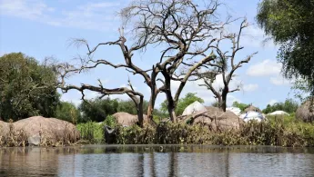 In der Region Pibor stehen viele Häuser bis unters Dach unter Wasser