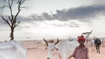 Ärzte ohne Grenzen Dadaab Kenia Somalia