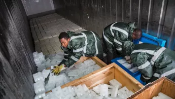 Gelbfieber impfungen Kongo