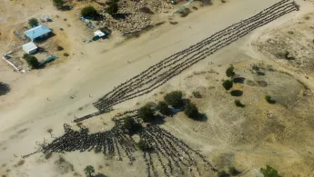 Südsudan Konflikt Gewalt Zerstörung Nahrungsmittel