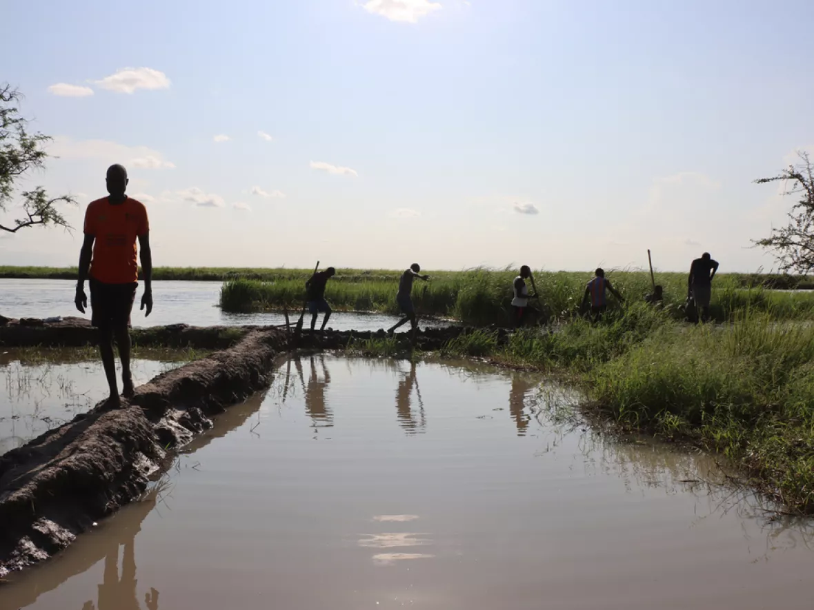 Der steigende Wasserspiegel treibt die Schlangen an Land.