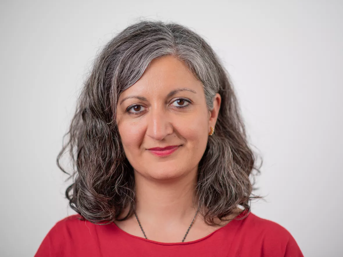 Parnian Parvanta, Vorstandsmitglied