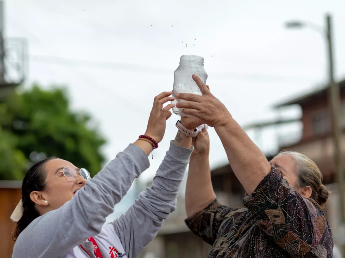 Mitarbeitende von Ärzte ohne Grenzen lassen in Honduras Moskitos mit dem Wolbachia-Bakterium frei.