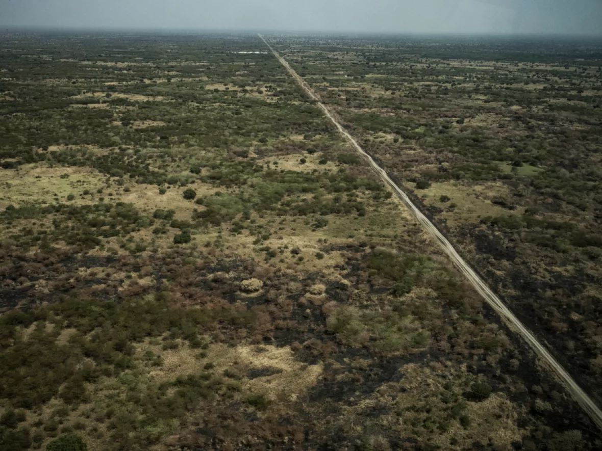 Grüne Landschaft mit schmaler Straße
