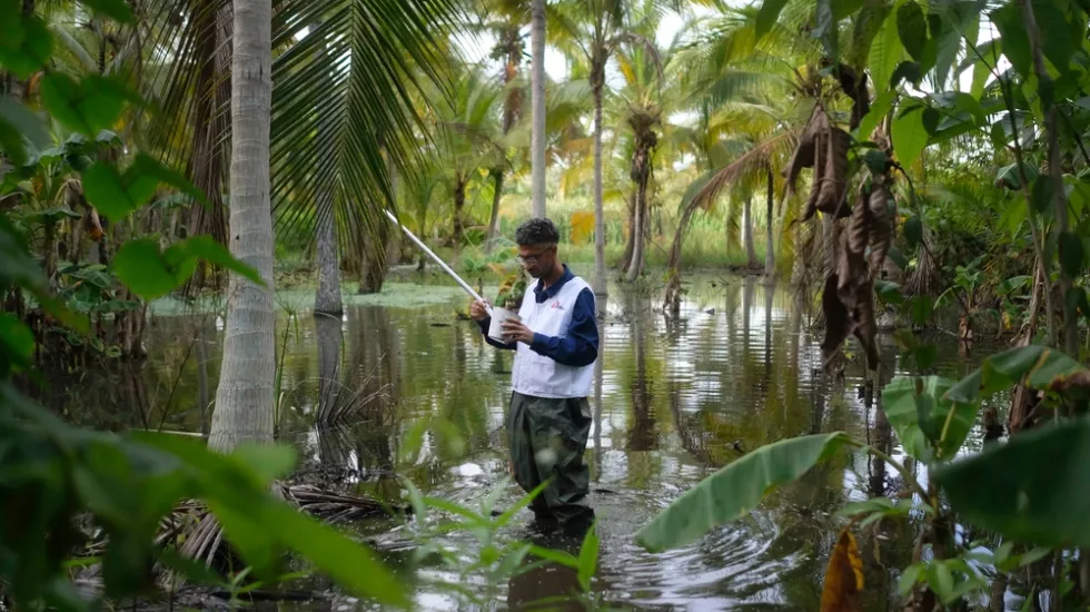 Einer unserer Mitarbeiter untersucht Wasser aus einem Tümpel im Wald