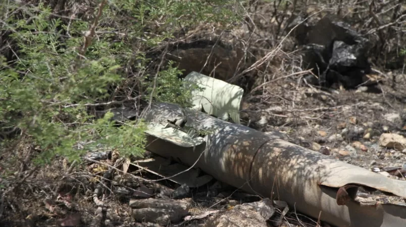 Bin Bildgänger, der von Büschen und Erde umgeben ist.