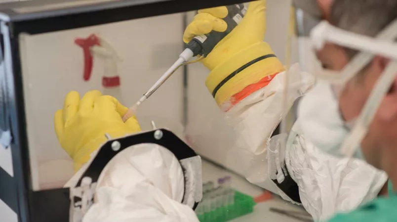 Eine Person in Schutzkleidung und Handschuhen arbeitet mit einer Pipette in einer geschlossenen Sicherheitswerkbank im Labor.