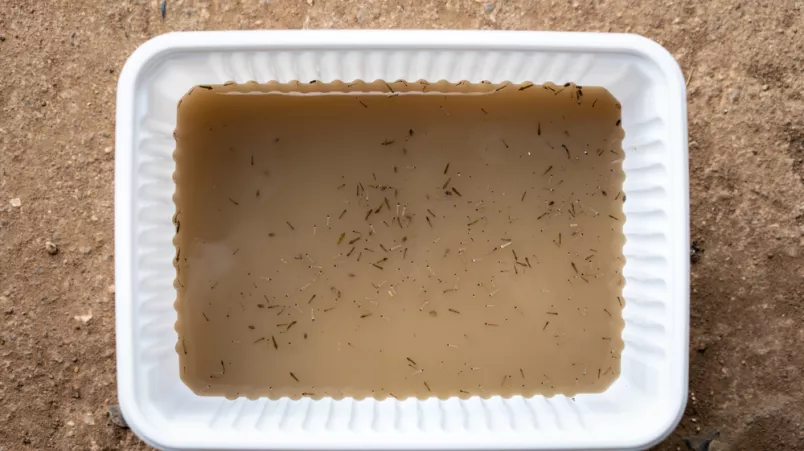 Äthiopien Gambella Malaria Studie Moskitos