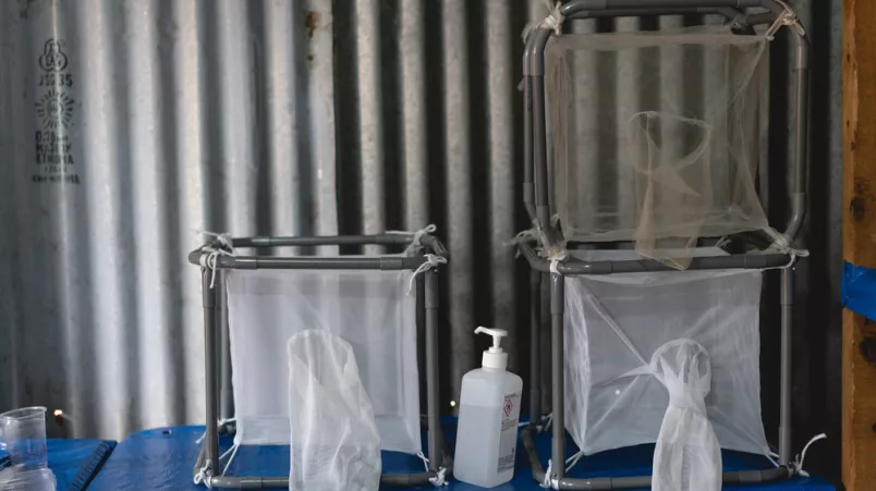 Äthiopien Gambella Malaria Studie Moskitos