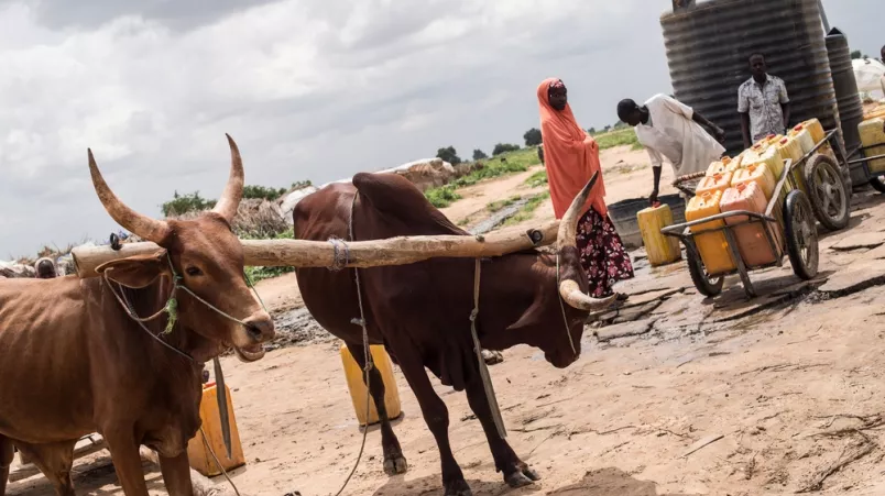 Ärzte ohn Grenzen Hilfe in Nigeria