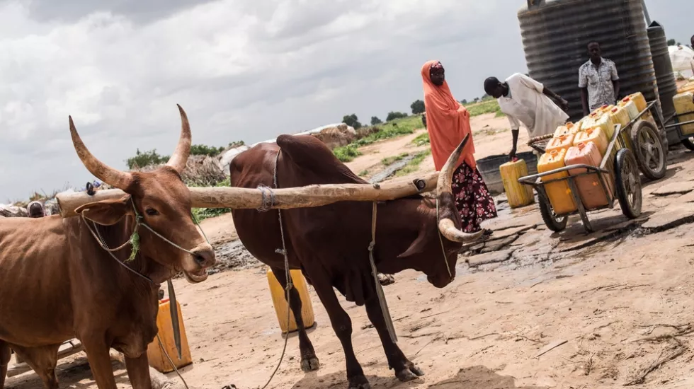 Ärzte ohn Grenzen Hilfe in Nigeria