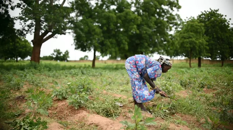 Ärzte ohn Grenzen Nigeria Hunger
