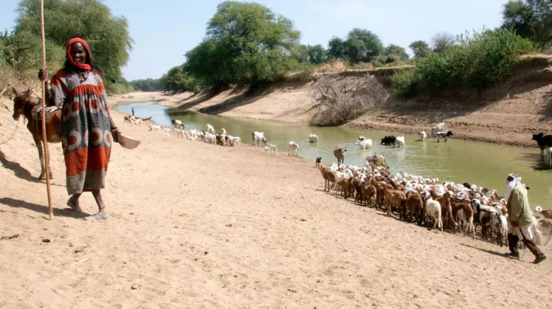 Ärzte ohne Grenzen Tschad Hepatitis E Ausbruch Fotoreportage