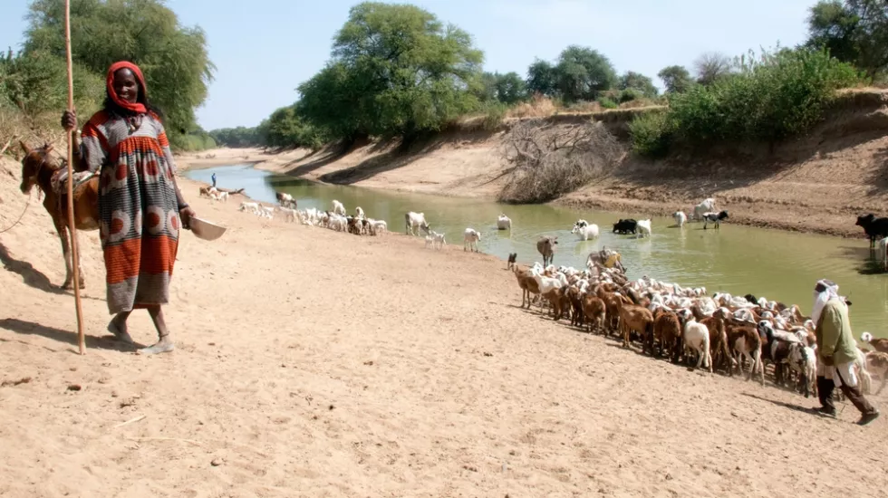 Ärzte ohne Grenzen Tschad Hepatitis E Ausbruch Fotoreportage Ärzte ohne Grenzen Tschad Hepatitis E Ausbruch Fotoreportage