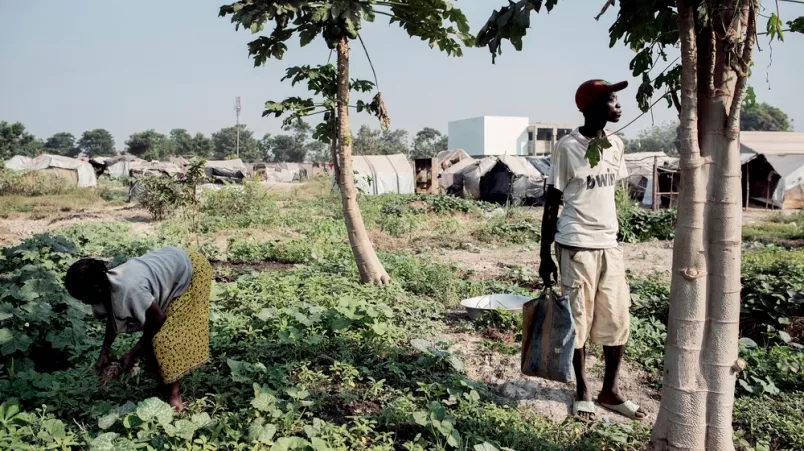 Ärzte ohne Grenzen in Zentralafrikanische Republik Mpoko Garten