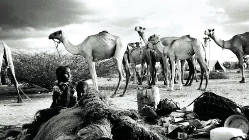 Ärzte ohne Grenzen Kenia Dadaab