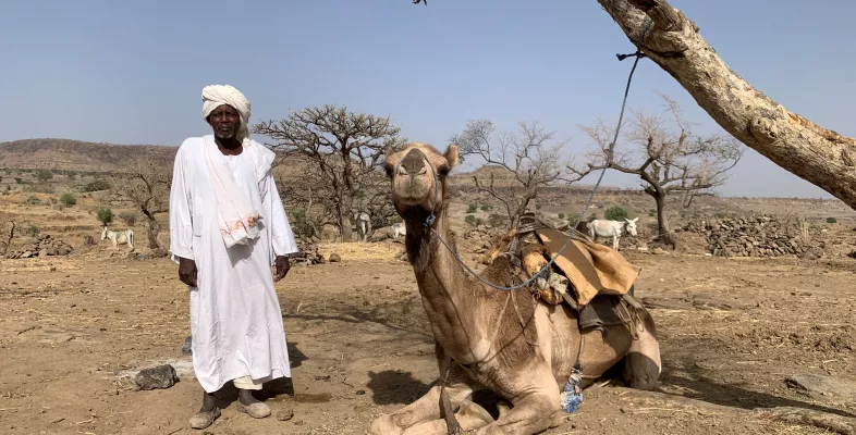 Mohammed Abdallah Juma, Dillis Gemeidevorsteher, mit einem Kamel in Jebel Marra.