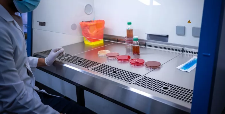 In Amman beobachtet ein Labormitarbeiter Bakterienkulturen im Krankenhaus für rekonstruktive Chirurgie von Ärzte ohne Grenzen.