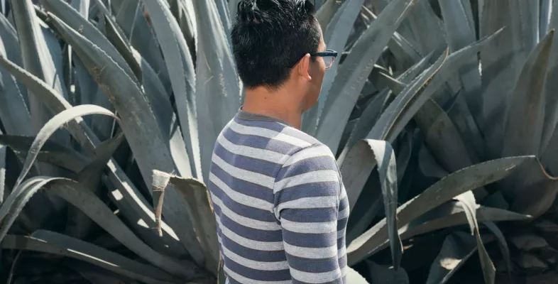 Gustavo floh aus El Salvador. Gustavo aus El Salvador steht mit dem Rücken zur Kamera