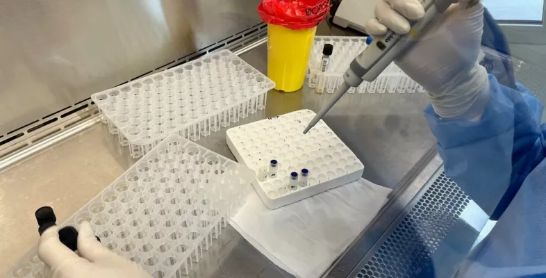 Die Mykobakterium-Tuberkulose-Kultur wird im Labor gegen verschiedene Antibiotika getestet. Das Tragen von Schutzkleidung ist für die Mitarbeiter während dieses Verfahrens obligatorisch. Labor für die Untersuchung von Mykobakterien auf Tuberkulose