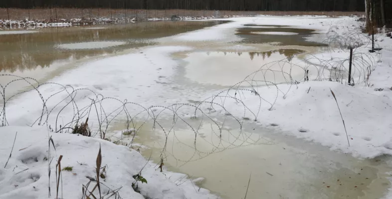 Grenze zwischen Polen Belarus in Natur Stacheldraht