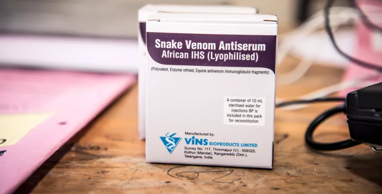 Ein Gegengift bei Schlangenbissen 