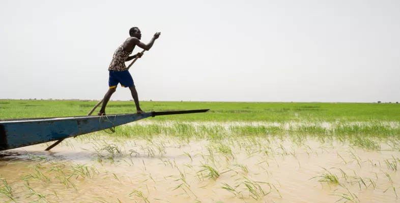 Bootsmann steuert Boot über Fluss Niger