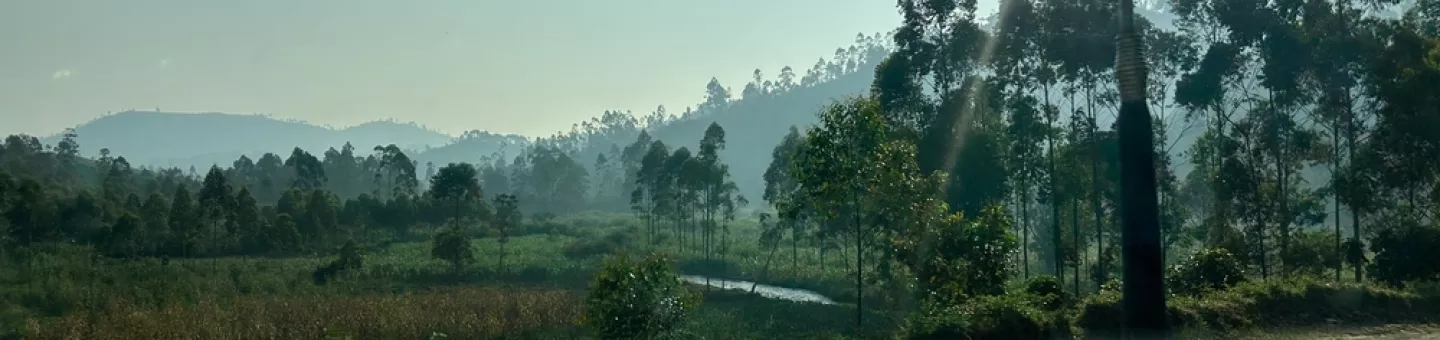 Straße zwischen Kitchanga nach Mweso, Nord Kivu