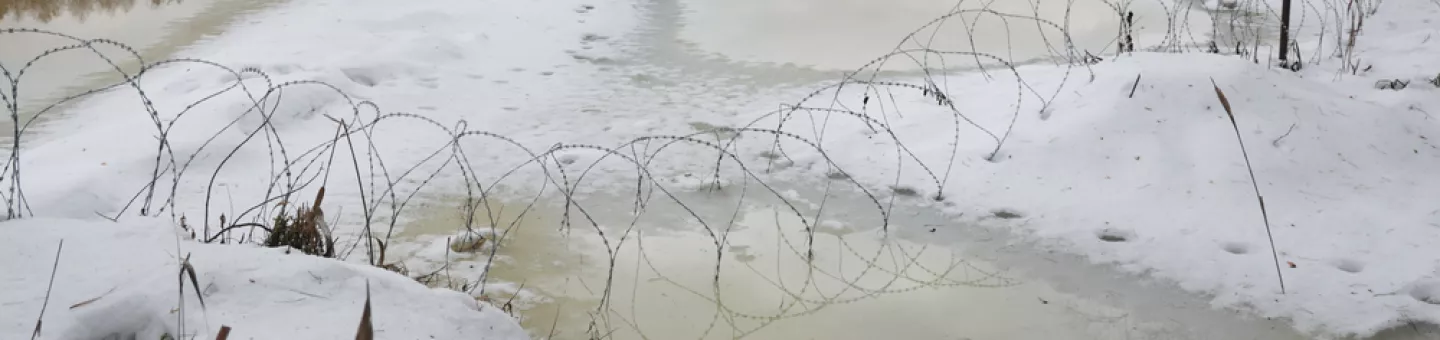 Grenze zwischen Polen Belarus in Natur Stacheldraht